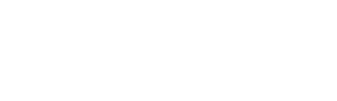 Zynka icon